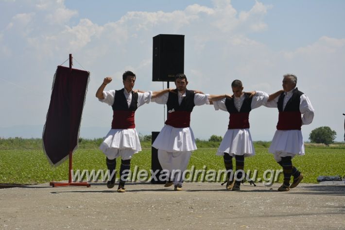 alexandriamou.gr_trikala28.5.2018059